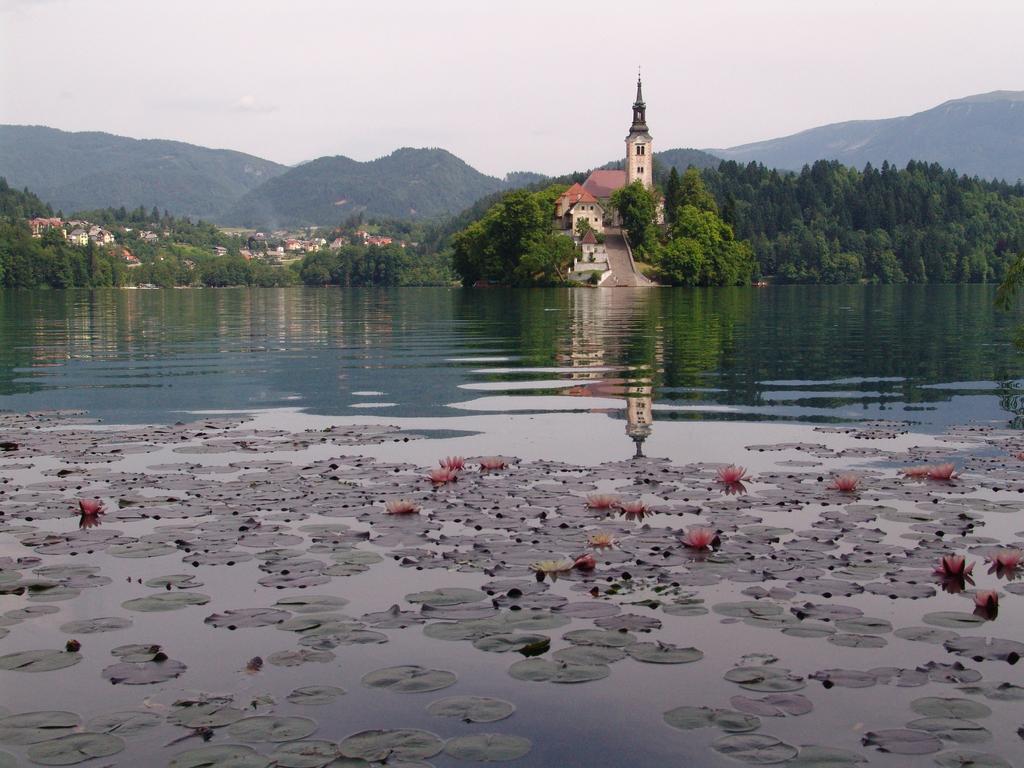 Apartma Zvan Bled Luaran gambar